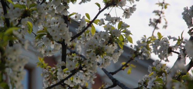 IMG_0904