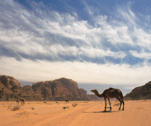 wadirum
